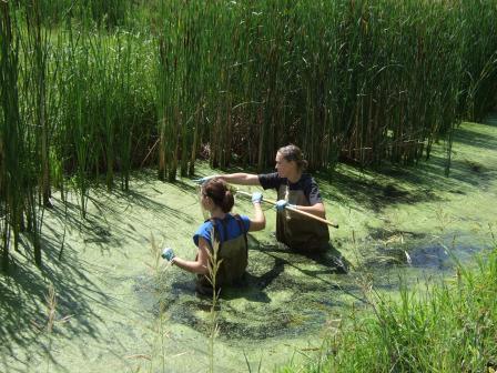 Students in pond